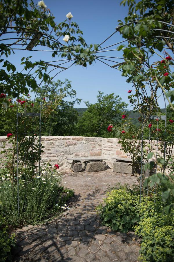 Schloss Spangenberg المظهر الخارجي الصورة
